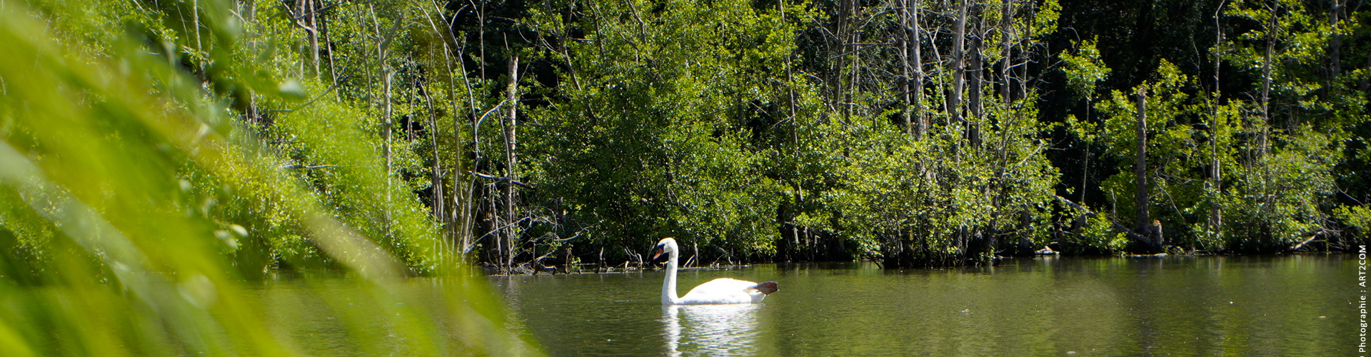 Réserve naturelle des Larris et Tourbières