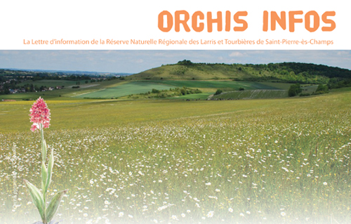 Orchis Infos N°10