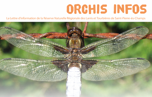 Orchis Infos N°12