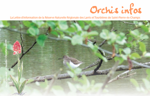 Orchis Infos N°9