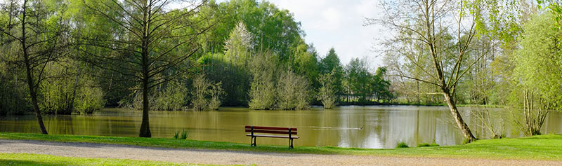 Site